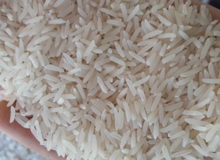 فروش برنج فجر شمال و قیمت خرید به صرفه